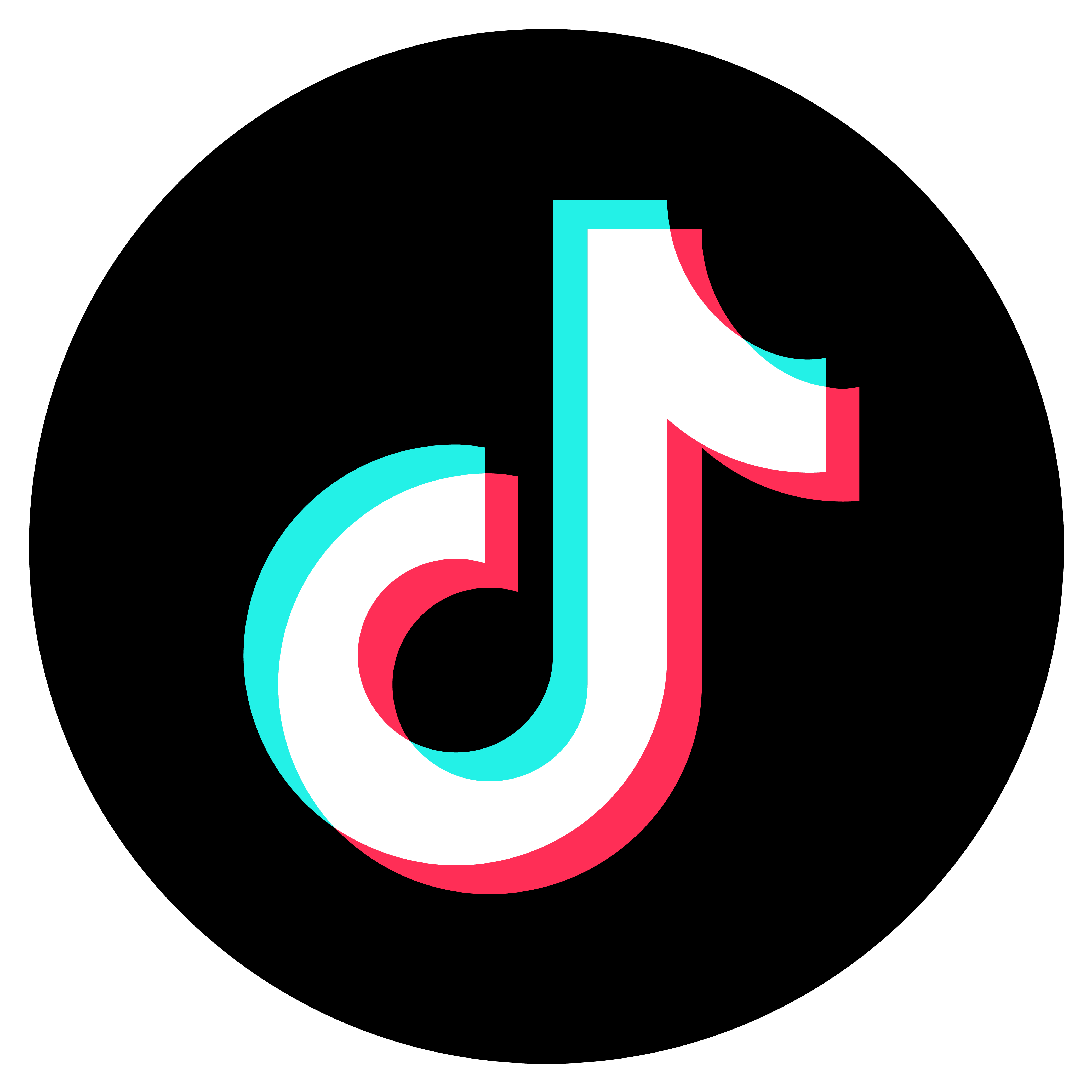 Vecteezy Tiktok Png Icon 16716450